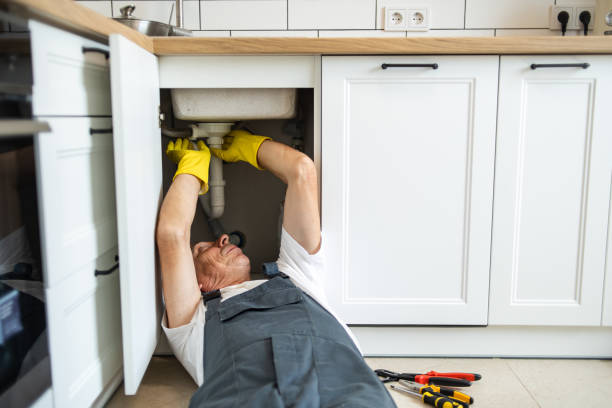 Best Plumbing Inspections & Maintenance in Agler Estates, FL